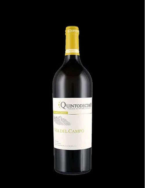 Via del Campo Falanghina Irpinia DOC