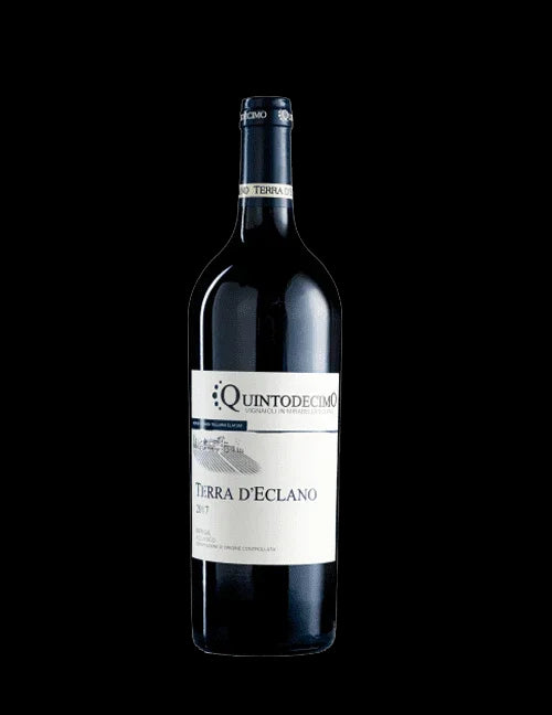 Terra d'Eclano Aglianico Irpinia DOC - CAMPANIA - QUINTODECIMO