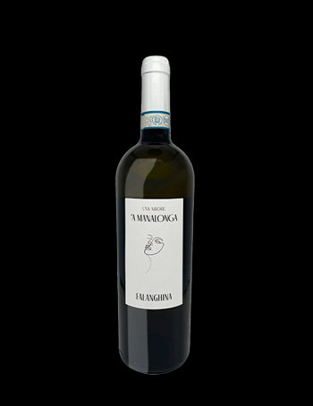 A Manalonga Falanghina igp Beneventano - CAMPANIA - UVA MADRE